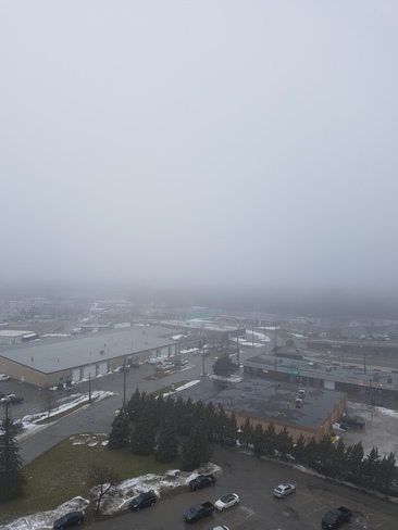 Fog continues 01/22 12:36 pm ET London, ON