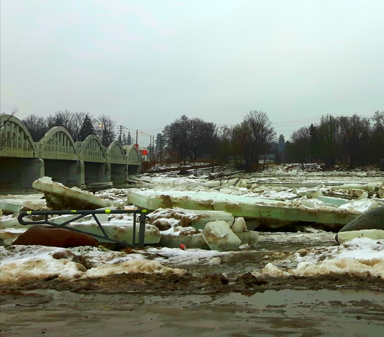 Ice Jams at Freeport Bridge Grand River today Kitchener, ON