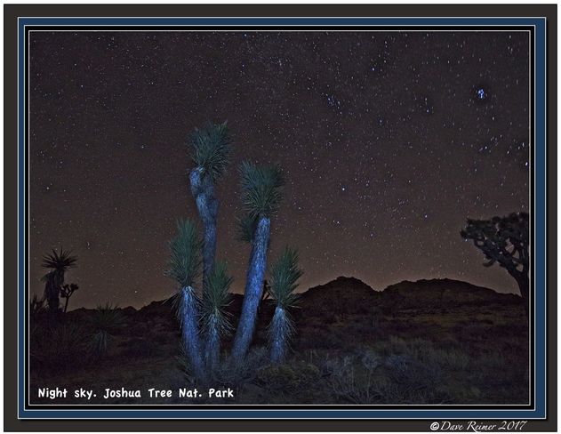 Night sky Joshua Tree National Park, CA, United States