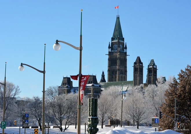 Frozen Capital! Ottawa, ON