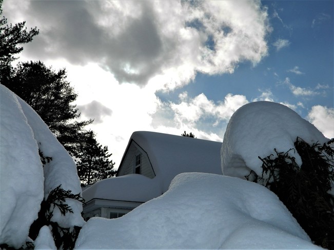Beaucoup de neige sur les arbres et les toits. Montpellier, QC