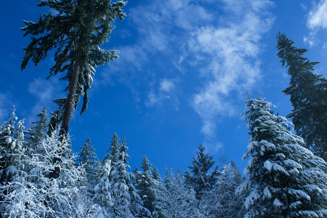 Let it snow! Bert Flynn Trails, David Avenue, Port Moody, BC