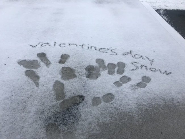 snow on valentine's Surrey, British Columbia, CA