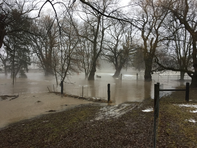 Flooding Tavistock, Ontario, CA