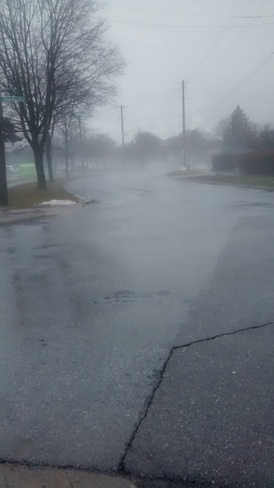 foggy wet day Oakville, ON