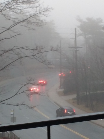 Fog Halifax, NS