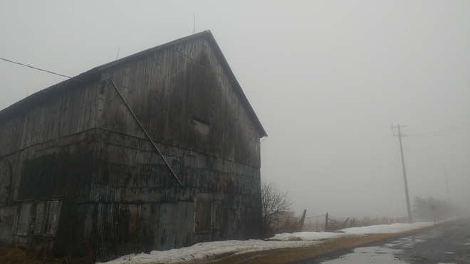 barn in the fog Prince Edward County, ON