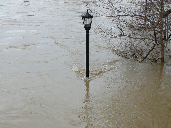 London Ontario February 21st flood waters of the Thames London, ON