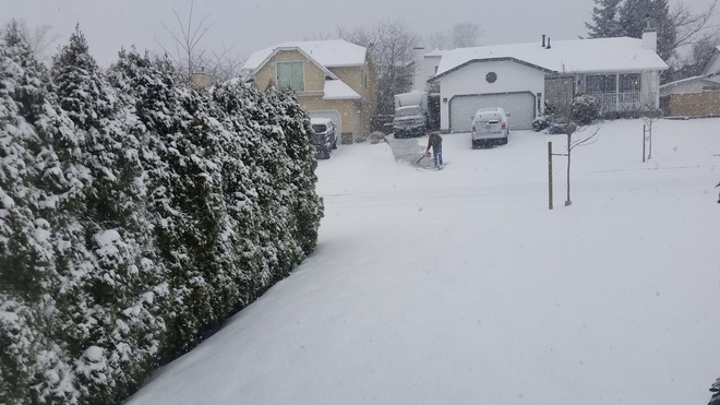 neighbor trying to clean his driveways Surrey, BC