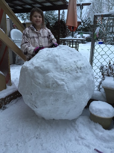 Big snow balls in Langley British Columbia Langley, BC