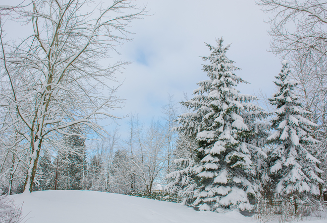 The Return of Winter Abbotsford, BC