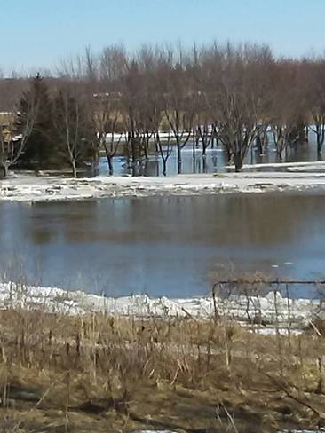 saugeen river overflowing Allenford, Ontario