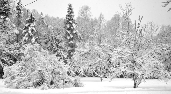 Winter Wonderland Pennfield, New Brunswick, CA