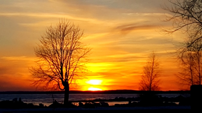 beautiful sunset Lagoon City, ON
