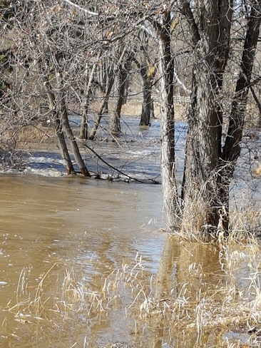 piper creek flooding Red Deer, AB