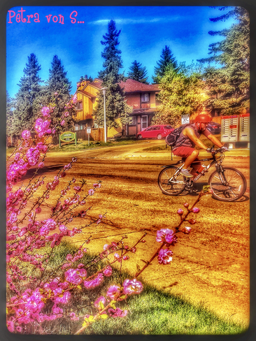 Cycling on a sunny afternoon Edmonton, Alberta, CA