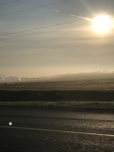 Early morning fog Riverdale, Manitoba, CA