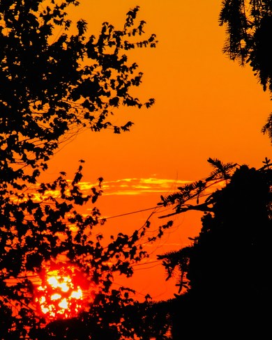 Sun silhouette Windsor, ON