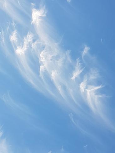 cloud of angels Red Deer, AB
