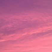 Le ciel rose