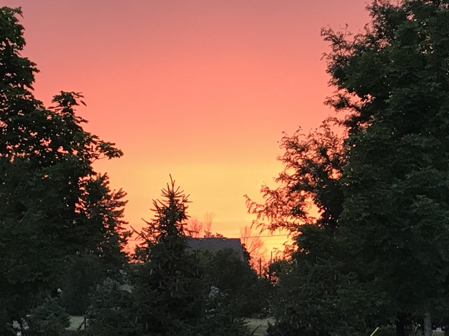 Sunset Grassie, Ontario, CA