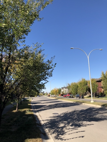 Blue skies Calgary, Alberta, CA