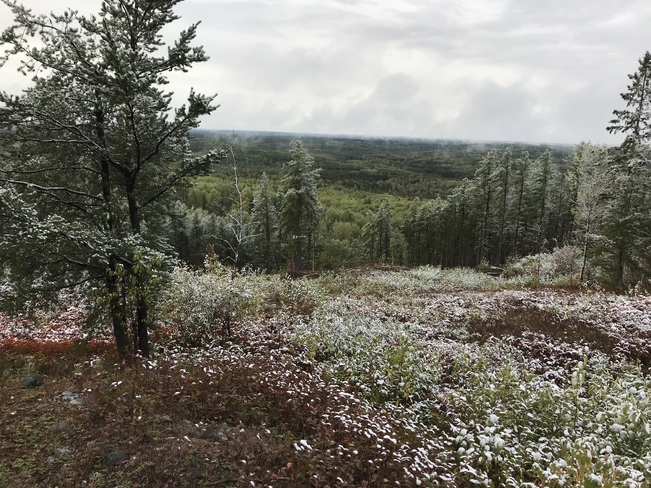 Fresh snow fall in September Timmins, Ontario, CA