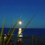 Magnifique levÃ© de la lune sur la mer