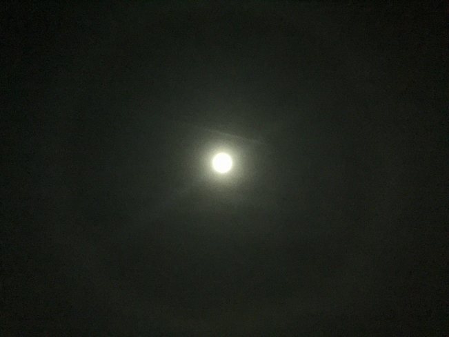 Haloed moon last night Ottawa, Ontario | K1K 4B5