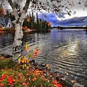 Le lac en automne