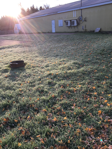 A beautiful chilly, frosty morning! Colchester, Nova Scotia | B6L 1X5