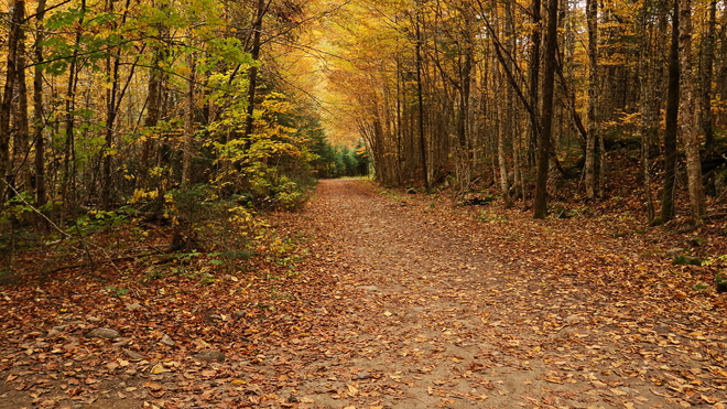 Sentier d'automne Parc national de la Jacques-Cartier, Chemin du Parc-National, Stoneham-et-Tewkesbury, QC