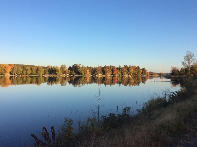 Fall Scenery Lakefield, ON