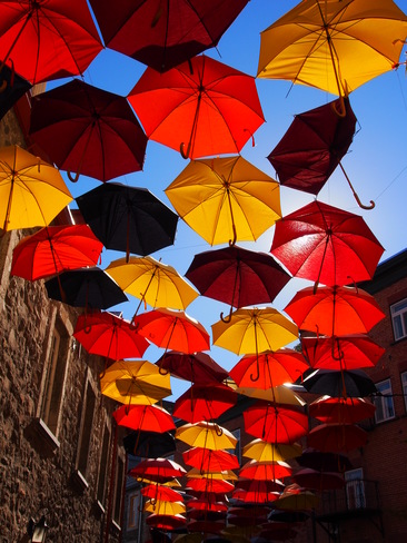 Umbrellas on a Clear Day in Old Quebec City Quebec City, QC