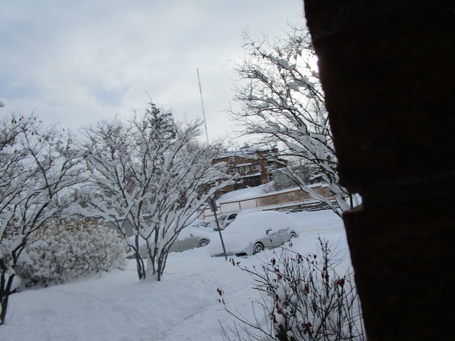 Beauty of snow 7695 Finnerty Side Rd, Kleinburg, ON L7E 0X7, Canada