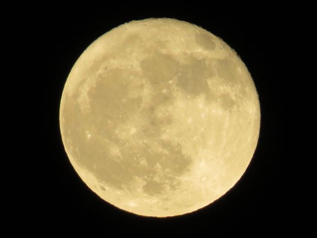 Gorgeous Moon Mississauga, Ontario, CA