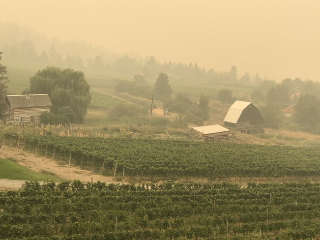 Forest fire haze Kelowna, British Columbia, CA