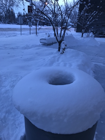 Snow Donut Edmonton, Alberta, CA
