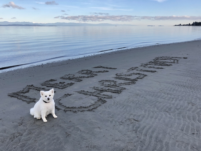 Merry message Qualicum Beach, British Columbia, CA