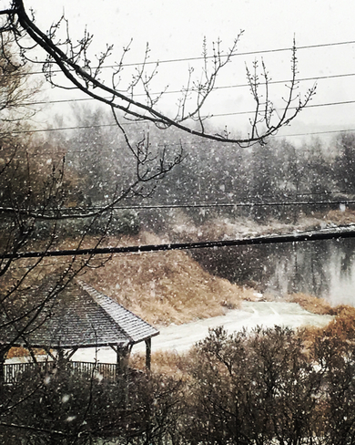 Snowing ðŸŒ¨ Canning, Nova Scotia, CA