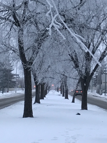 Frost Winnipeg, Manitoba, CA