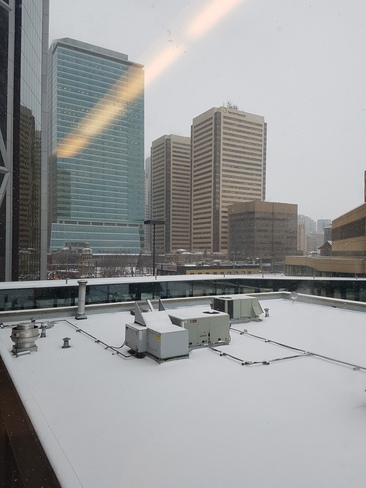 Snow! Calgary, AB