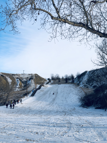 Great day for the toboggan hill in Kin Coulee Park! Medicine Hat, Alberta, CA