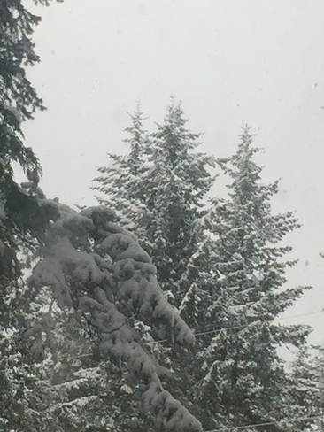 Snowy winter! El NiÃ±o: snow, rain, freeze, repeat! Procter, British Columbia | V0G 1V0