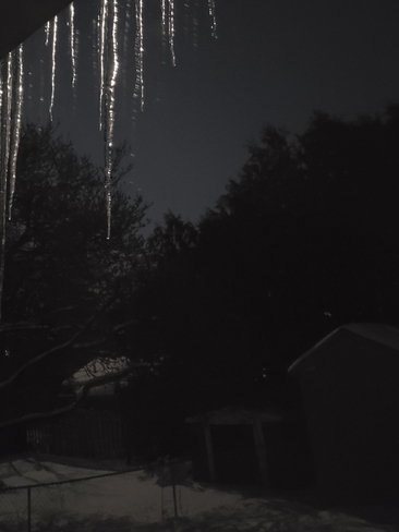 Icicles in the Moonlight Woodstock, ON
