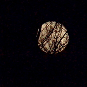 Pleine lune 19 fÃ©vrier