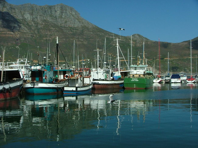 Hout Bay Harbour Hout Bay Harbour