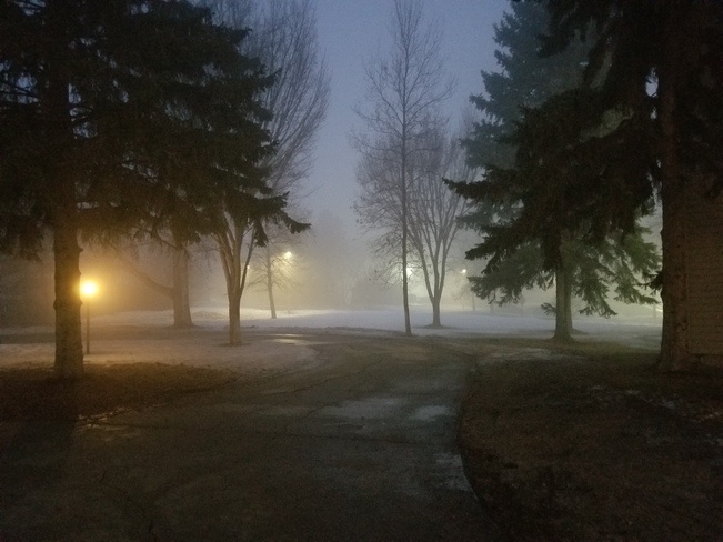 It's a little foggy...but warm Edmonton, AB
