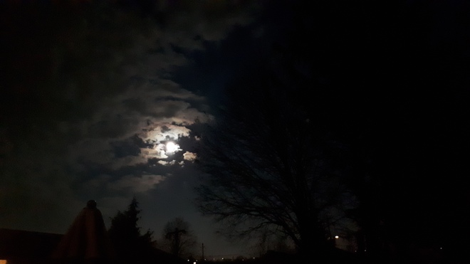 moon Hamilton, ON