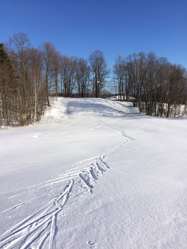 Cross country skiing today North Bay, Ontario, CA